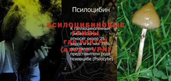 соль курить ск Карпинск