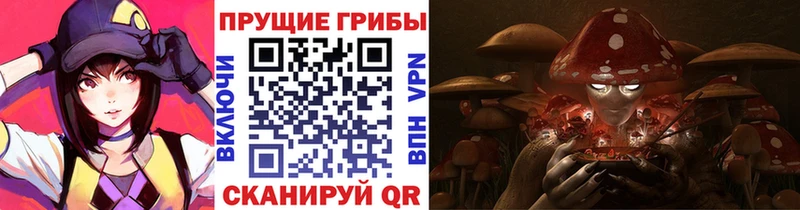 Галлюциногенные грибы ЛСД Купить закладки Егорьевск