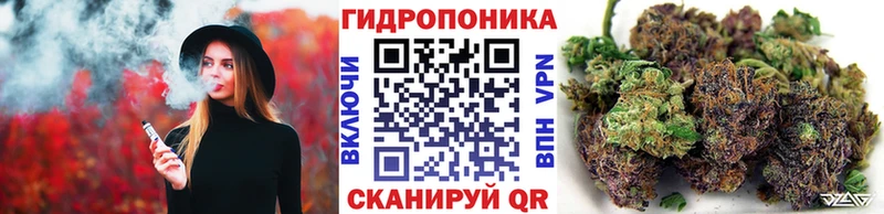 Купить закладки  Егорьевск  Шишки марихуана Bruce Banner 